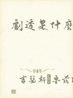 剧透是什么意思