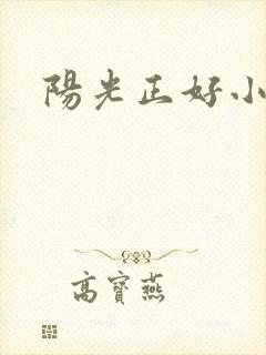 阳光正好小说