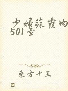 少妇苏霞肉欲第501章