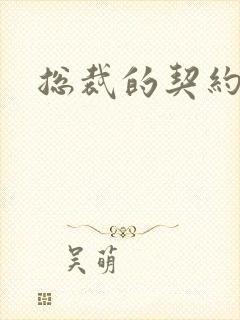 总裁的契约情人
