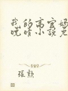 我的高官妈妈苏晚晴小说免费阅读
