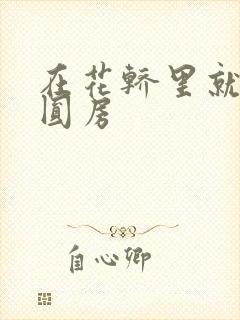 在花轿里就开始圆房