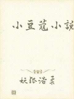 小豆蔻小说