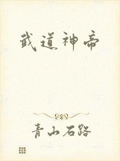 武道神帝