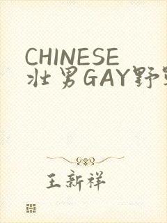 CHINESE壮男GAY野战强迫TUBE封面