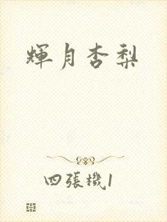 辉月杏梨