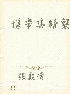 携带集精系统
