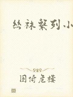 丝袜系列小说