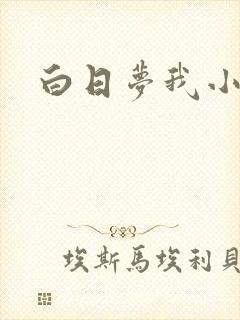 白日梦我小说