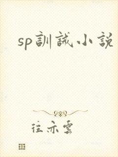 sp训诫小说封面