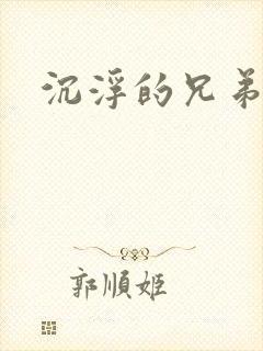 沉浮的兄弟封面