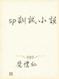 sp训诫小说