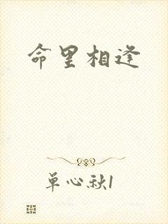 命里相逢