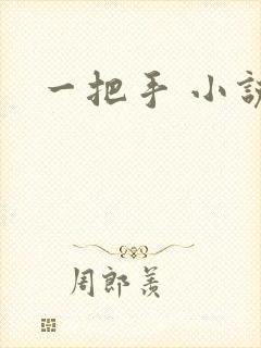 一把手 小说封面
