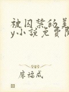 被囚禁的美人by小说免费阅读封面