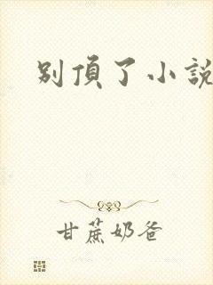 别顶了小说
