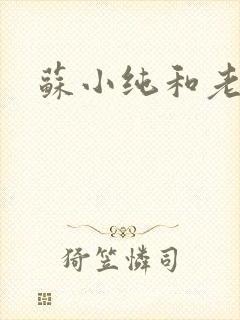 苏小纯和老苏封面