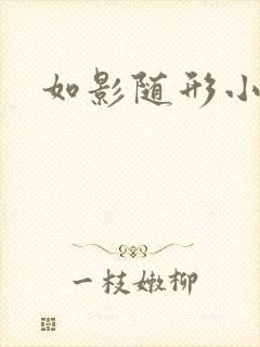 如影随形小说