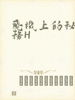 飞机上的秘密服务H