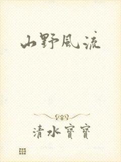山野风流封面