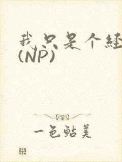 我只是个经纪人(NP)