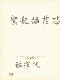 紫龙插花芯