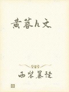 黄蓉h文封面