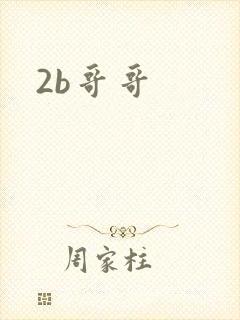 2b哥哥
