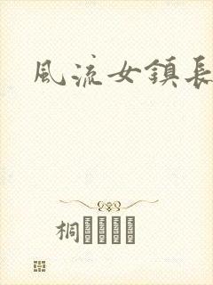 风流女镇长封面