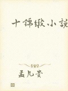 十锦缎小说