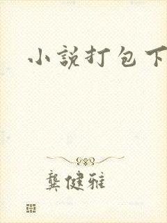 小说打包下载