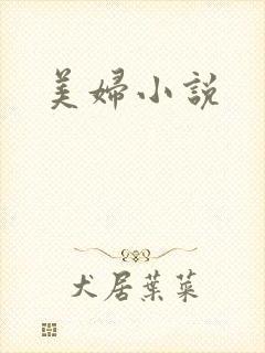 美妇小说