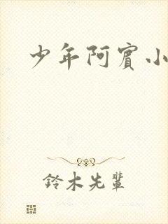 少年阿宾小说