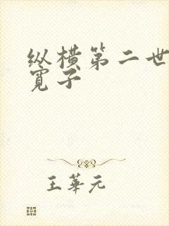 纵横第二世界 宽子封面