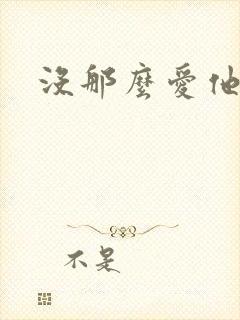 没那么爱他封面