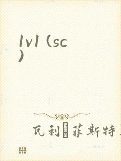 1v1 (sc)