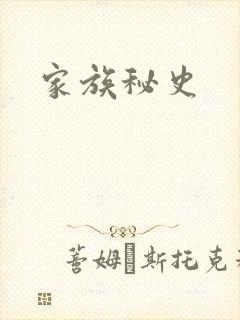 家族秘史封面