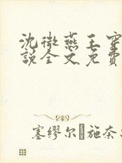 沈微燕王穿越小说全文免费阅读封面