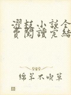 濯枝小说全文免费阅读完结封面