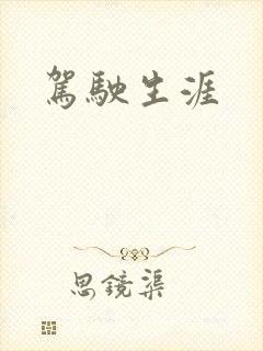 驾驶生涯