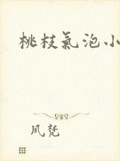 桃枝气泡小说