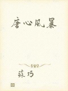 唐心风暴