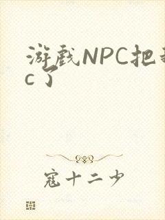 游戏NPC把我c了