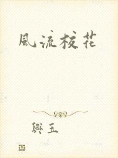 风流校花封面