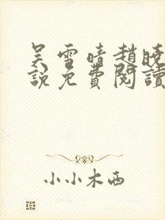 吴雪晴赵晓东小说免费阅读