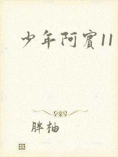 少年阿宾11