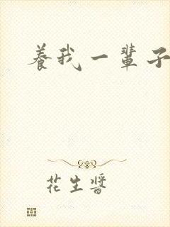 养我一辈子