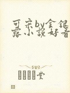 可宋by金银花露小说好看吗