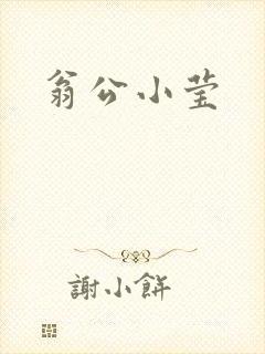 翁公小莹