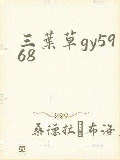 三叶草gy5968